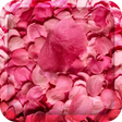 Ikona programu: Flower Petals 3D Wallpape…