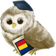 Icono de programa: Learn Romanian