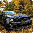 Icon des Programms: Mustang Wallpaper