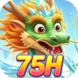 Icon des Programms: 75HOrbit