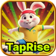 Icône du programme : TapRise