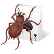 プログラムのアイコン: Free Spider Solitaire 202…