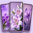 Ikona programu: Purple Li…