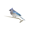 Icon des Programms: BirdNET