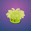 Icon des Programms: Corals Garden