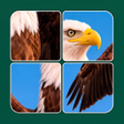 Icono de programa: Jigsaw Solitaire: Slide P…
