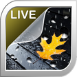 Icon des Programms: Rain Live Wallpaper