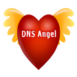 Icon des Programms: DNS A…