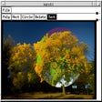 Icon des Programms: Mapedit