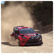 プログラムのアイコン: Wallpapers for Dirt Rally…